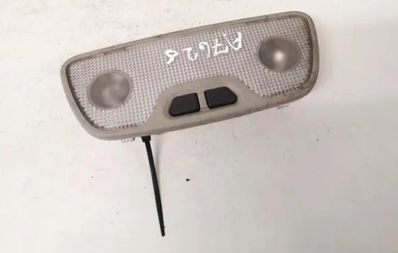 Rear seat light