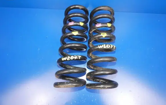 Rear coil spring