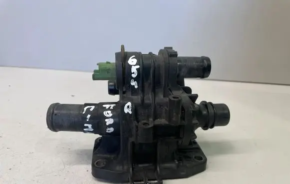Thermostat/thermostat housing
