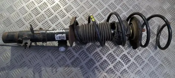 Peugeot 1007 Front shock absorber/damper 9656373580