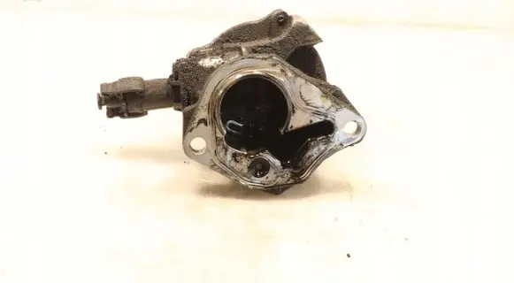 Renault Kangoo II Vacuum pump