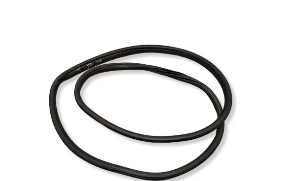BMW X1 F48 F49 Front door rubber seal 7349628