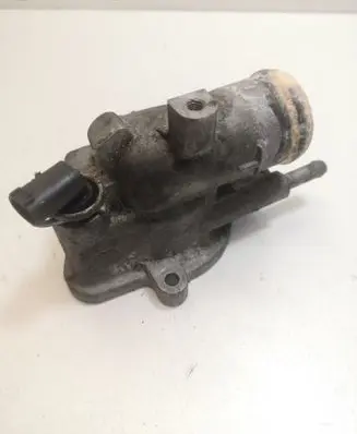 Thermostat/thermostat housing