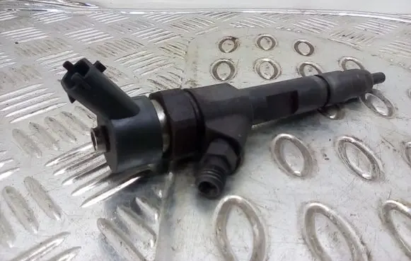 Renault Megane II Fuel injector 8200100272 0445110