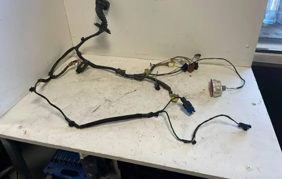 Renault Espace IV Front door wiring loom 8200517556 00149