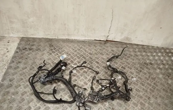 Engine installation wiring loom