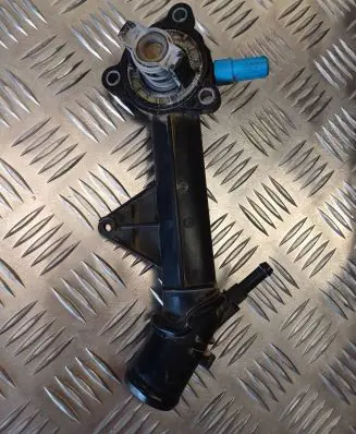 Thermostat/thermostat housing