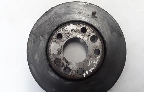 Renault Laguna III Front brake disc 8660001233