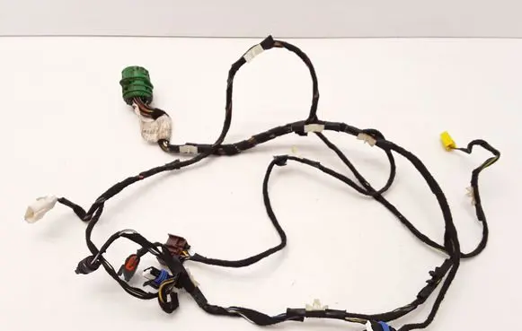 Front door wiring loom