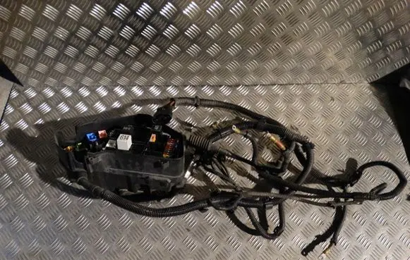 Porsche Cayenne (9Y0 9Y3) Wiring harness 7P5971072B