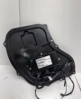Tesla Model S Door control unit/module 100310100C 100245800H