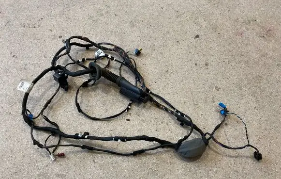 BMW X3 G01 Front door wiring loom 5A48F74 9221028