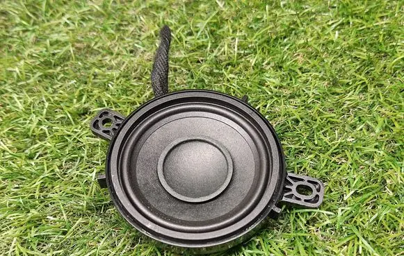 Panel speaker
