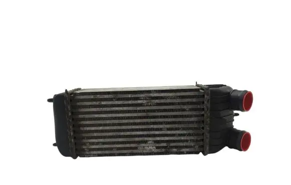 Peugeot 207 Intercooler radiator 9680275480 D8553006