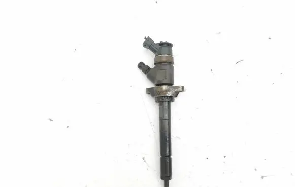 Citroen C5 Fuel injector 0445110297 620026