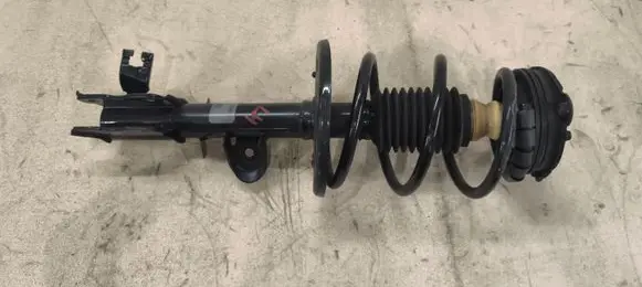 Nissan Murano Z52 Front shock absorber with coil spring LS5495361L 24322A1 9346039148