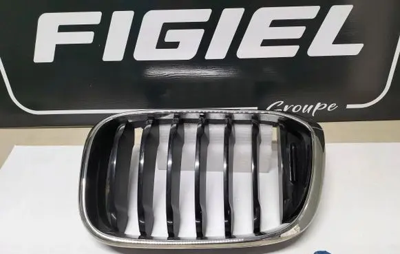 BMW X3 G01 Front bumper upper radiator grill 8091725