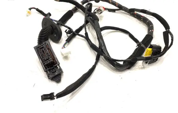 Front door wiring loom