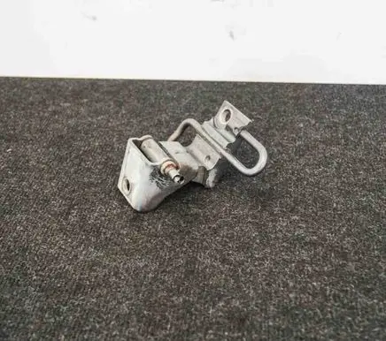 Rear door lower hinge