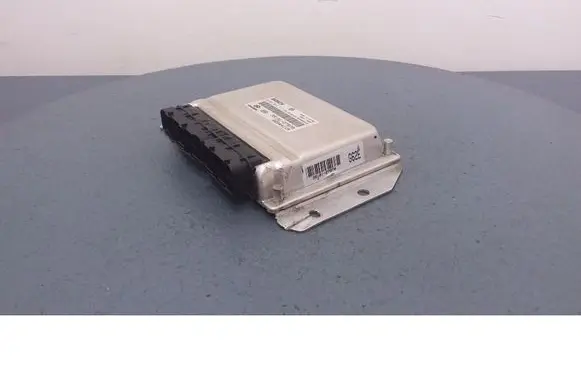 Engine control unit/module ECU