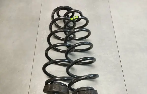 Rear coil spring