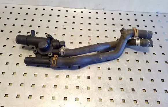 Thermostat/thermostat housing