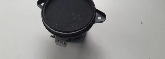 Hyundai Ioniq Panel speaker 