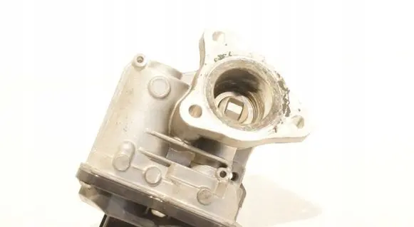 Renault Clio IV EGR valve Array
