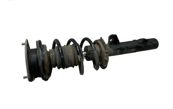 Mini Cooper Countryman R60 Front shock absorber with coil spring 6772749
