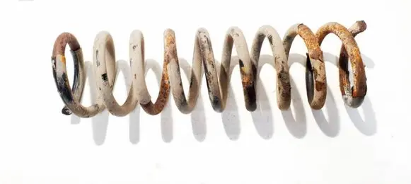 Ford Kuga I Rear coil spring