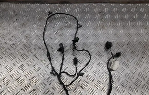 Audi A6 S6 C6 4F Other wiring loom 4F1971095AH
