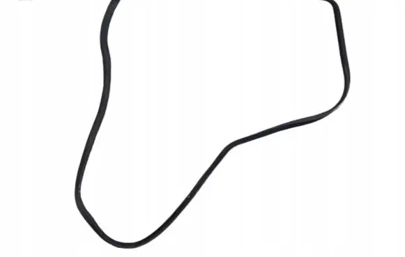 Volkswagen Fox Rear door rubber seal (on body) 5Z3831721H