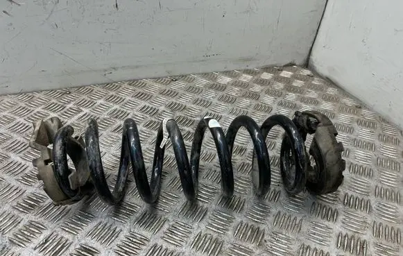 Land Rover Discovery Sport Rear coil spring FK725B749FB