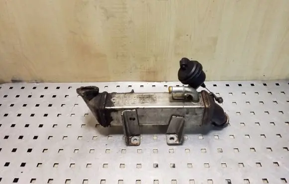 Nissan X-Trail T31 EGR valve cooler 8200719993 H8200620695 L0281006