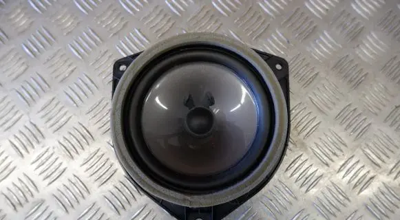 Lexus RX III Rear door speaker 861600E170