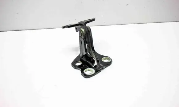 Tesla Model 3 Rear door lower hinge A046571