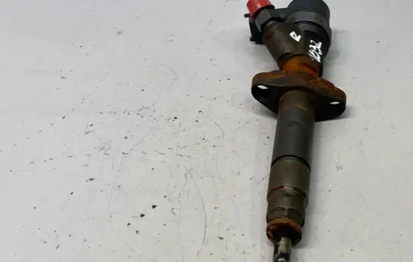 Opel Vivaro Fuel injector H82101135 0986435079 549067