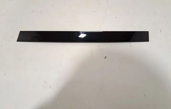 Rear door glass trim molding