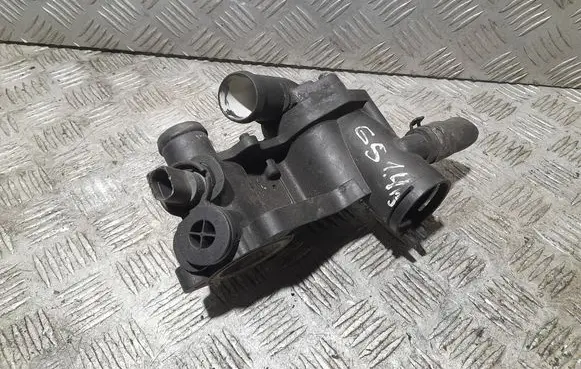 Thermostat/thermostat housing