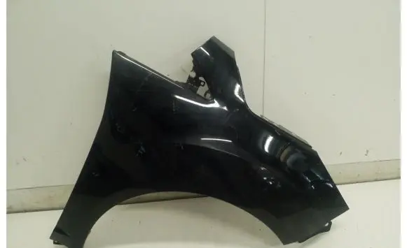 Ford C-MAX II Fender AM51R16015