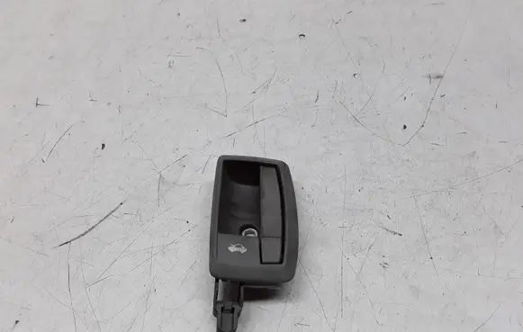 Peugeot Boxer Engine bonnet (hood) release handle