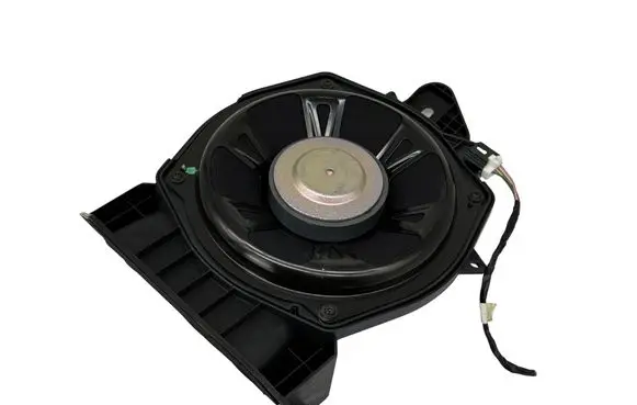 Renault Austral Subwoofer speaker 281701918R 220604248 M002TSE68