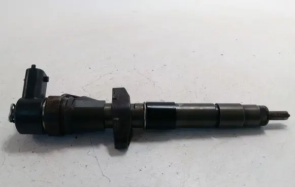 Renault Espace - Grand espace IV Fuel injector 8200084534 0445110084