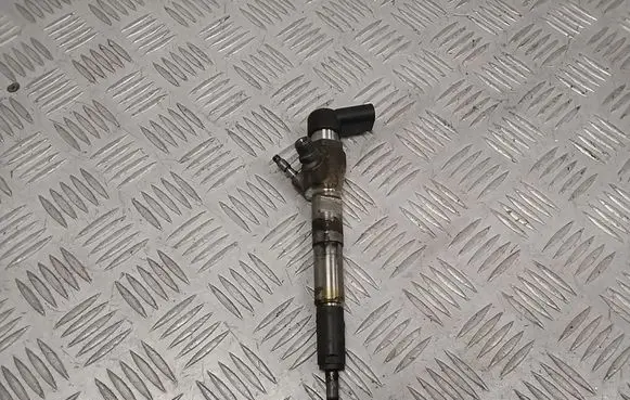 Nissan Qashqai Fuel injector 166006212R