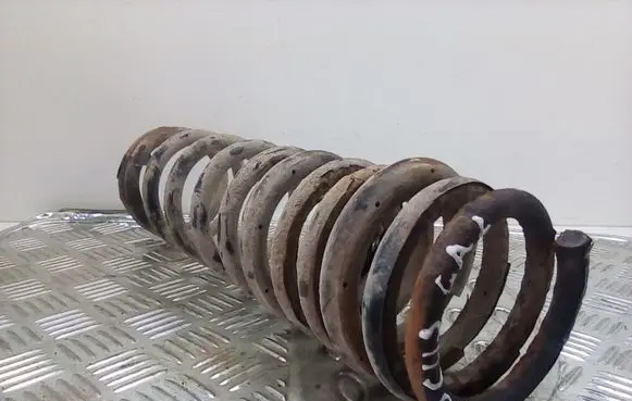 Ford Focus Rear coil spring