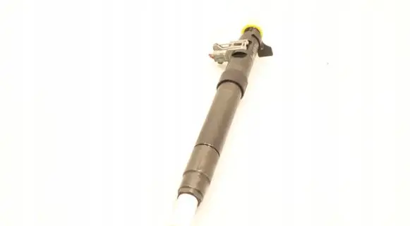 Citroen C4 I Picasso Fuel injector 9686191080