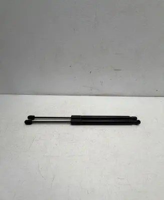Opel Zafira C Tailgate/trunk strut/damper 13387067