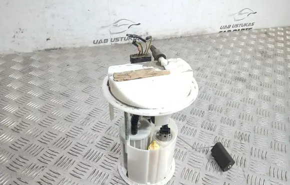 Citroen C2 In-tank fuel pump 9645187980
