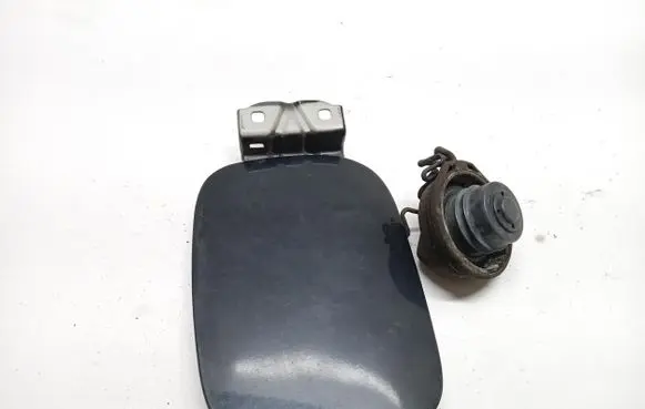 Volvo V40 Fuel tank cap 30865497