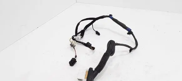 KIA Sorento Rear door wiring loom 918203E011